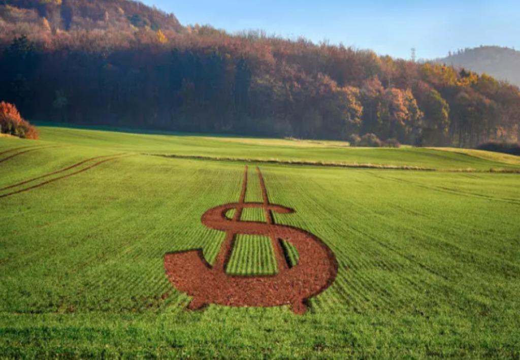 Banco Mundial anunciou que irá destinar R$ 50,22 bilhões para o agronegócio
