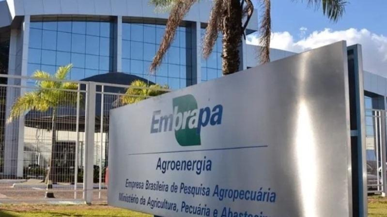 Embrapa abre concurso com 1.027 vagas e salários de até R$ 12 mil