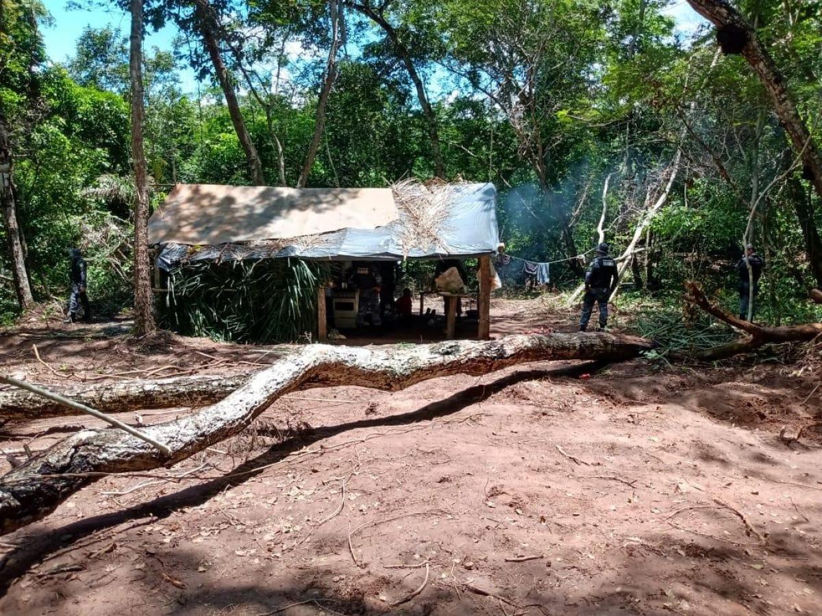 STF torna ilegal lei contra invasão de terras em Mato Grosso