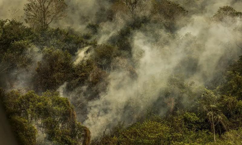 Crise climática pode provocar nova extinção em massa, diz pesquisador