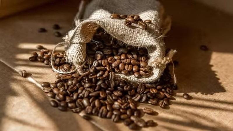 Novas tarifas dos EUA sobre café favorecem Brasil e alteram mercado global