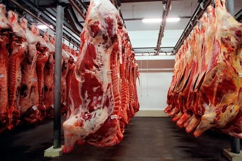 Frigoríficos paralisam produção de carne destinada aos EUA após tarifaço de Trump