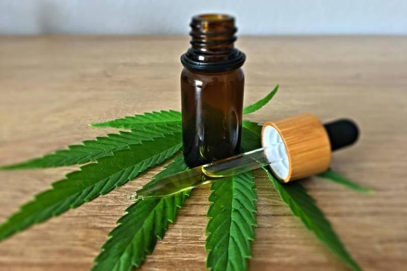 Justiça derruba lei que obrigava SUS a distribuir cannabis medicinal em MT