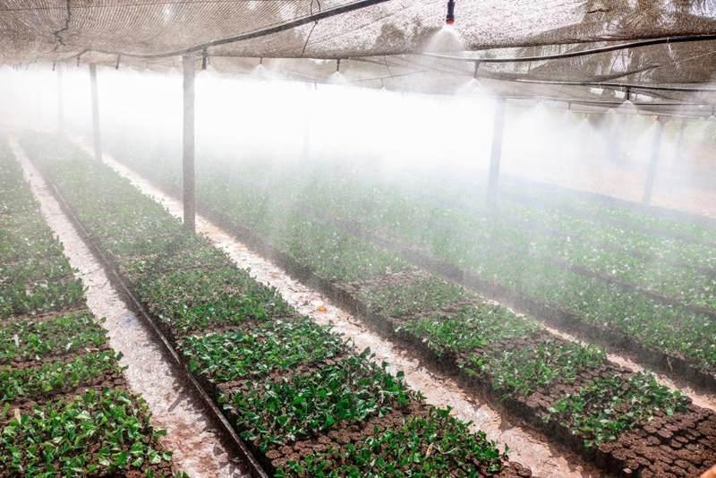 SEAF destina R$ 21,4 milhões para agricultores familiares