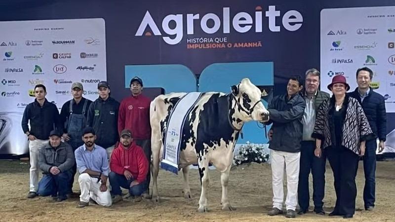 Vaca produz quase 100 quilos de leite por dia e vence torneio