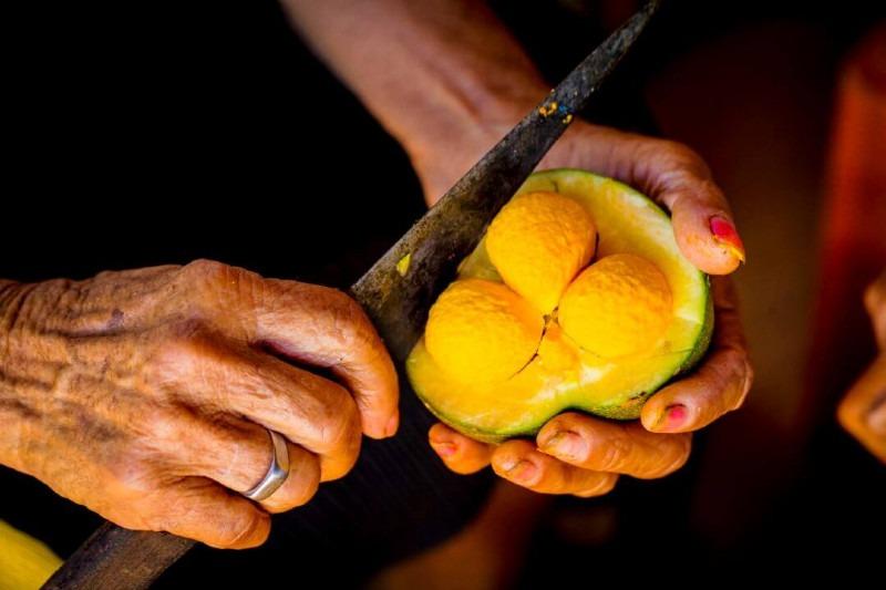 Os benefícios do pequi para o coração, rins e combate à inflamação