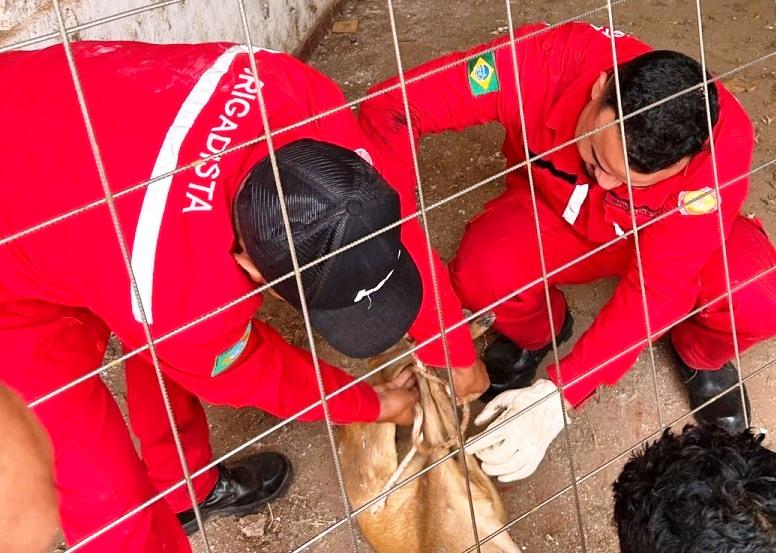 Brigada Mista de Rosário Oeste Garante Suporte e Segurança para a Gestão do município