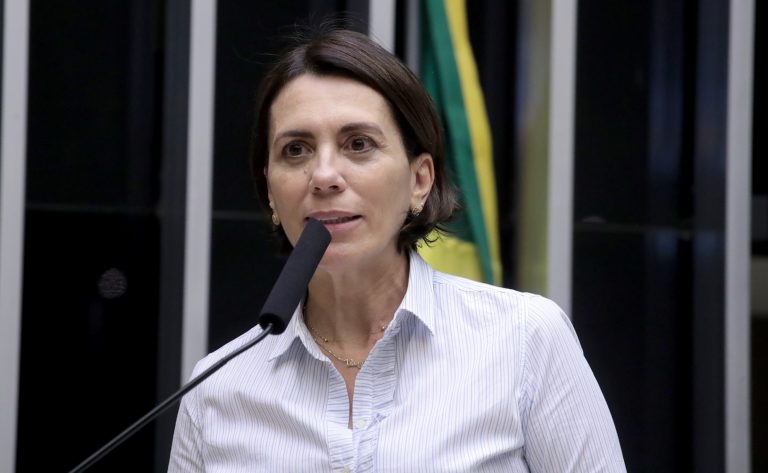 Comissão debate andamento das obras do aeroporto do Guarujá (SP)