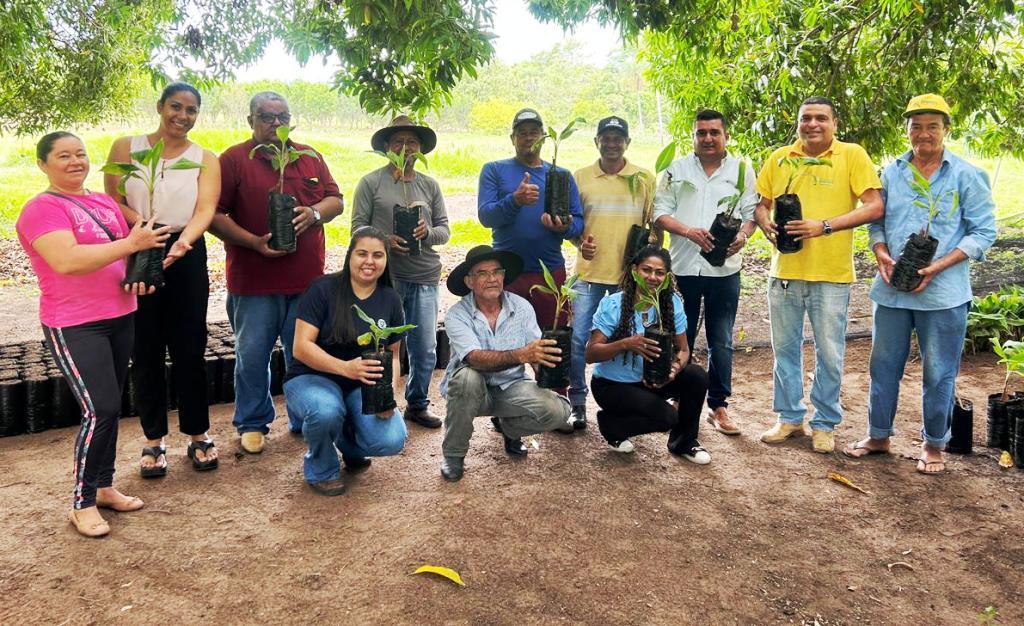 Mil mudas de banana nanica chegam a Rosário Oeste para apoiar pequenos agricultores