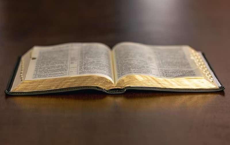 Filho bêbado agride mãe com socos e destrói bíblia usando facão