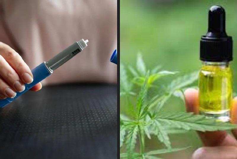 Anvisa proíbe venda de canetas emagrecedoras e canabidiol sem registro