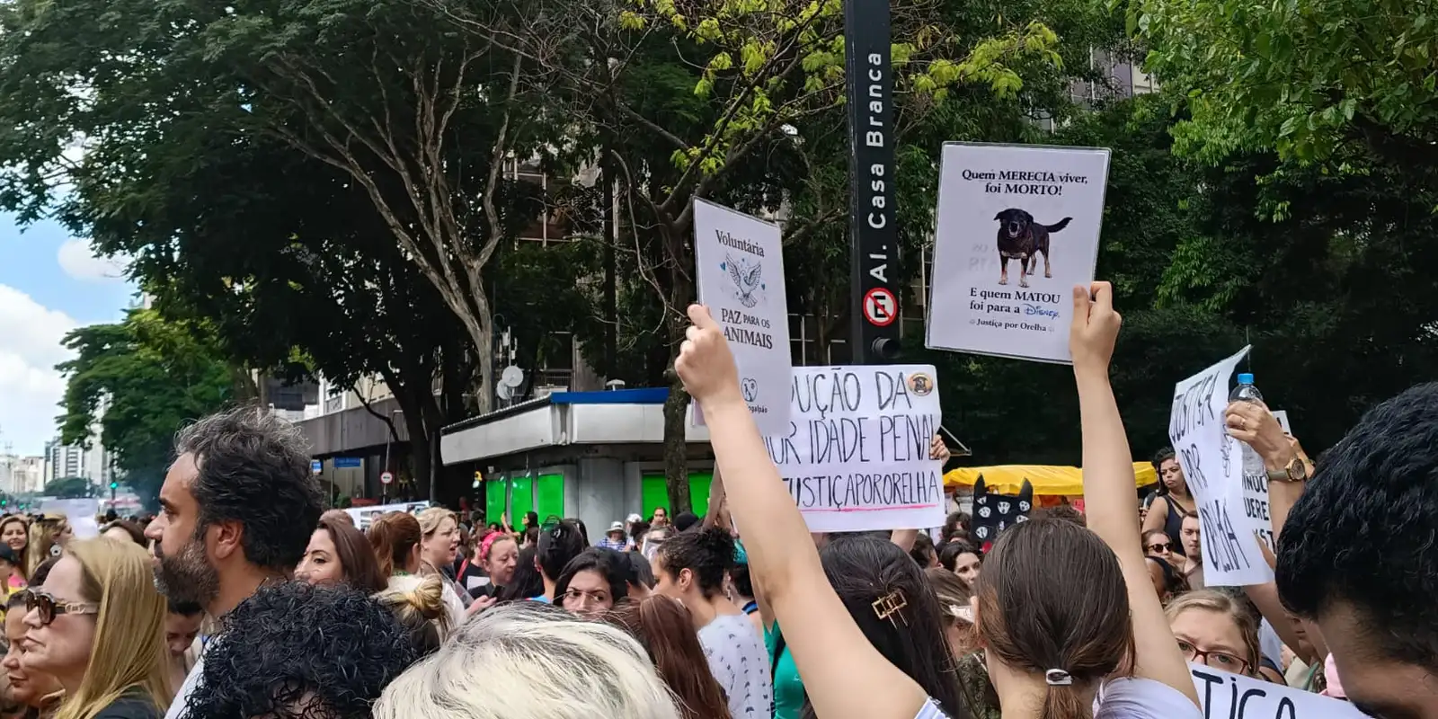 Centenas de pessoas em São Paulo clamam por justiça para o cão Orelha