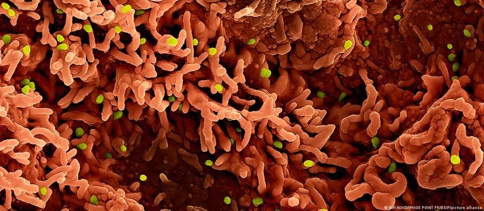 Os três agentes virais que ameaçam o mundo em 2026