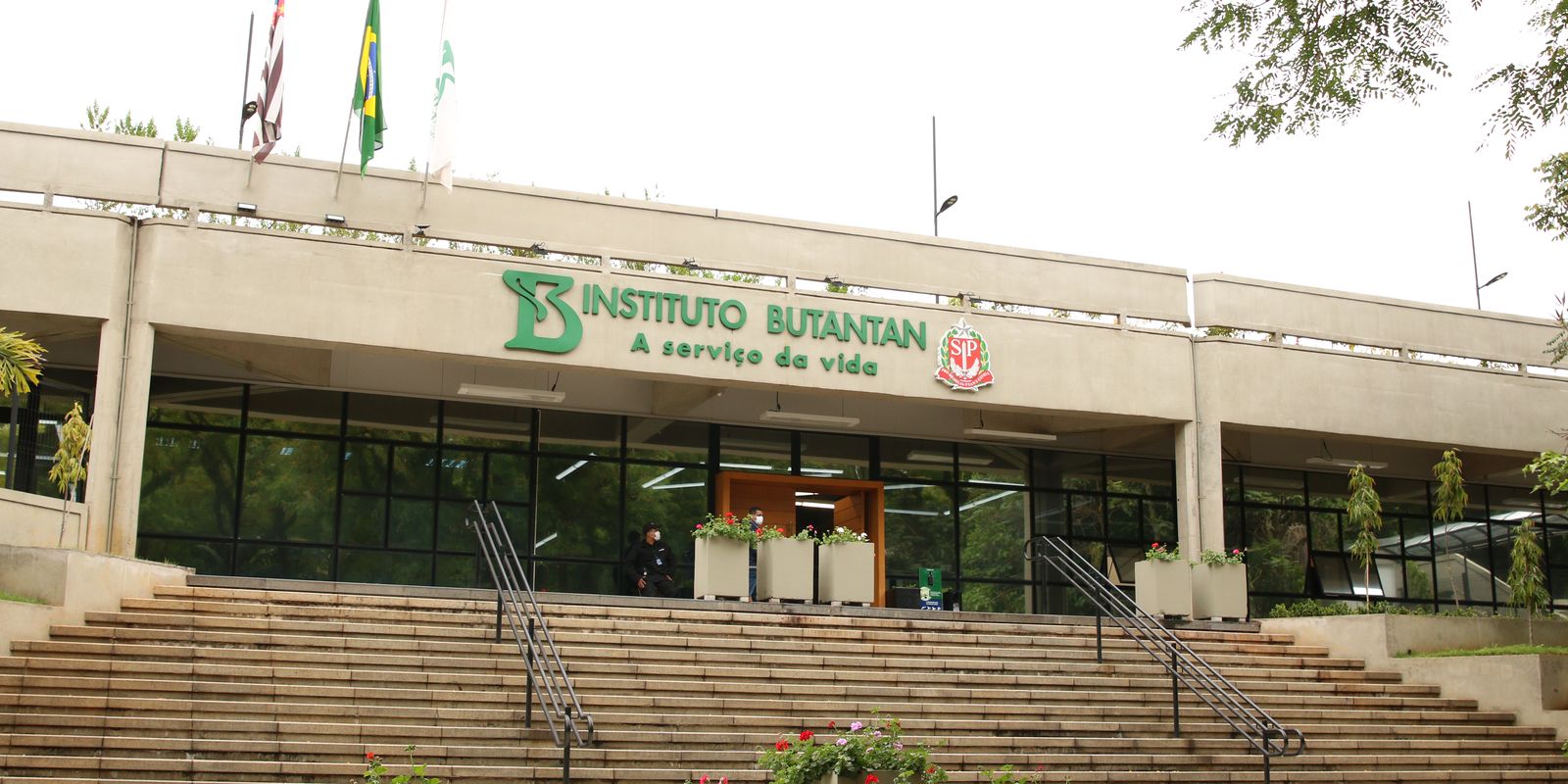 Instituto Butantan produzirá medicamento contra o câncer para o SUS