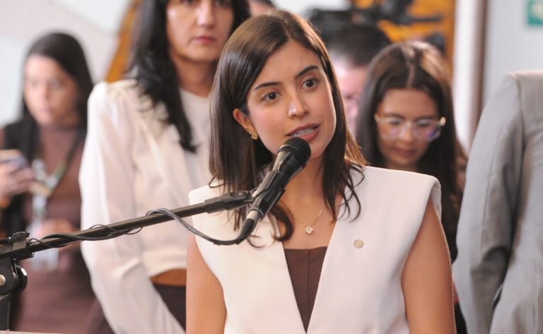 Comissão ratifica Anna Nery como patrona da enfermagem no Brasil