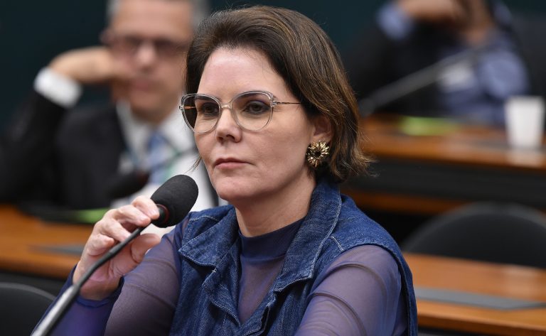 Comissão aprova envolvimento social em plano contra a violência feminina