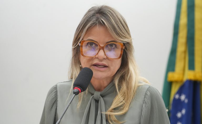 Comissões da Câmara debatem os desafios do trabalho infantil digital