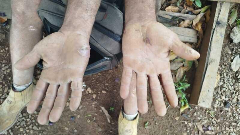 Empresas terão que pagar R$ 10,7 milhões por escravizar mais de 400 trabalhadores