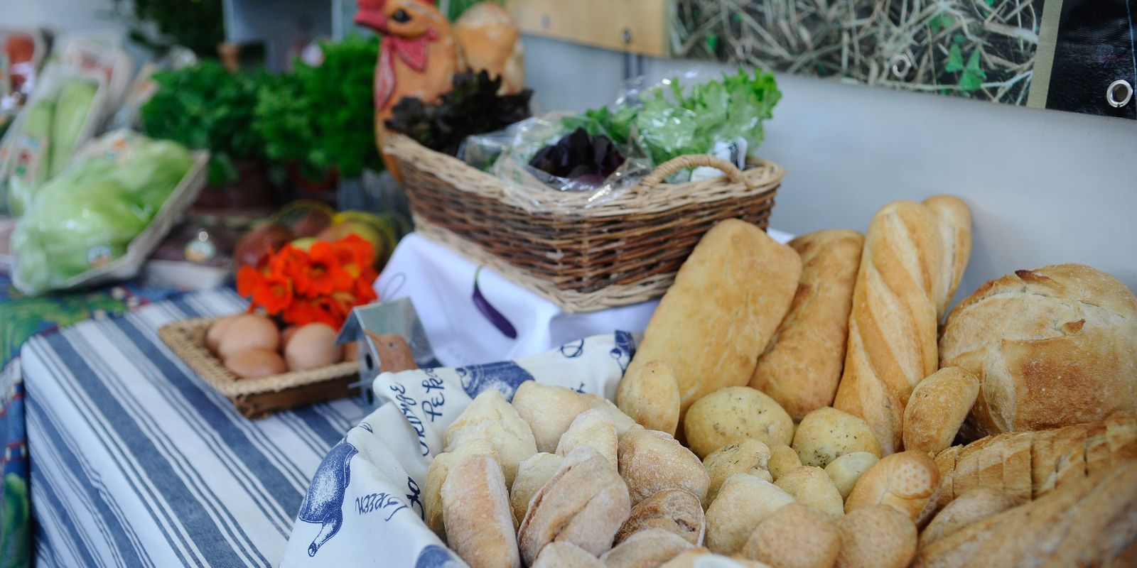 Indústria de alimentos e bebidas registra alta de 8% no ano passado, informa Abia