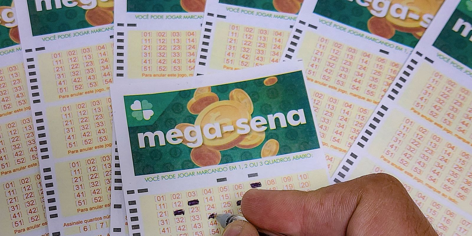 Mega-Sena acumula e valor principal chega a R$ 65 milhões