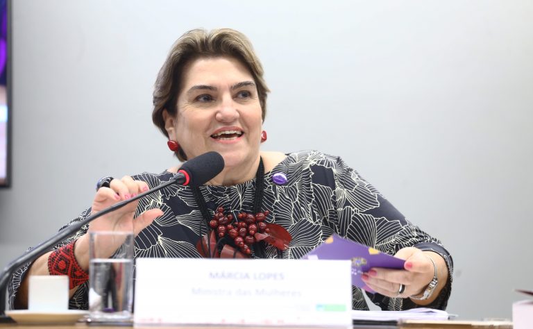 Ministra das Mulheres participa de audiência sobre violência e feminicídio