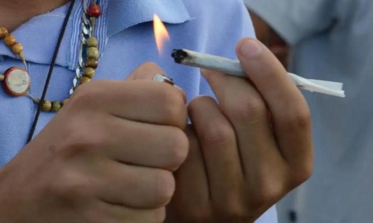 MT é o terceiro maior consumidor de maconha entre jovens do país