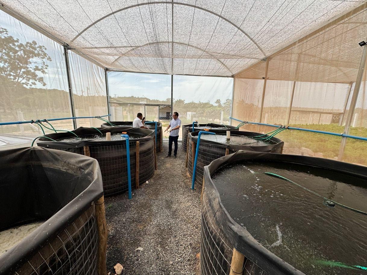 Projeto de aquaponia apoiado por Juca do Guaraná começa a gerar renda em assentamento de Cuiabá