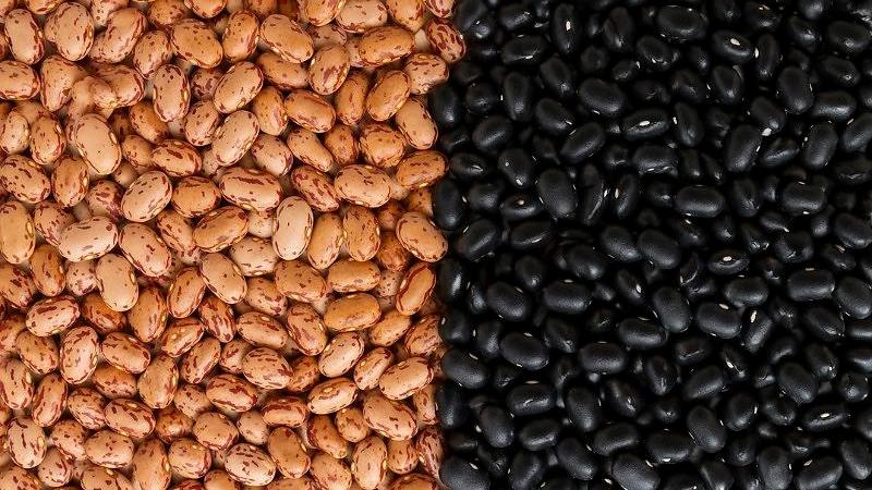 Feijão carioca e feião preto recuam com demanda mais fraca