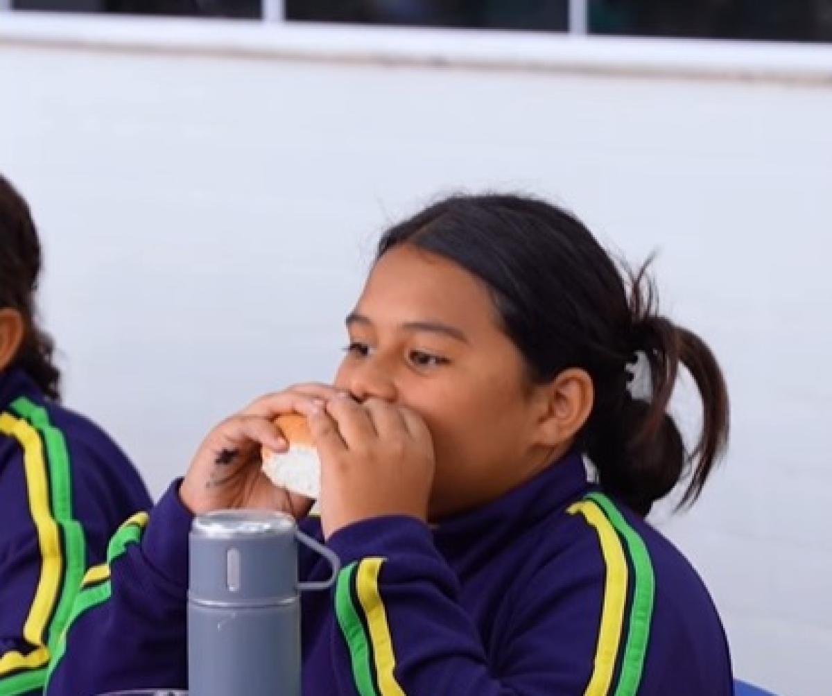 Hambúrguer vira merenda de creches e escolas em cidade matrogrossense