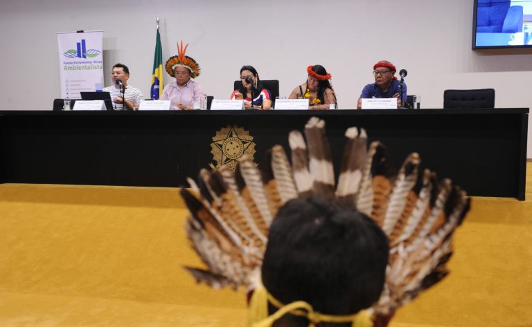 Lideranças indígenas e parlamentares defendem mais espaço e proteção territorial em debate na Câmara