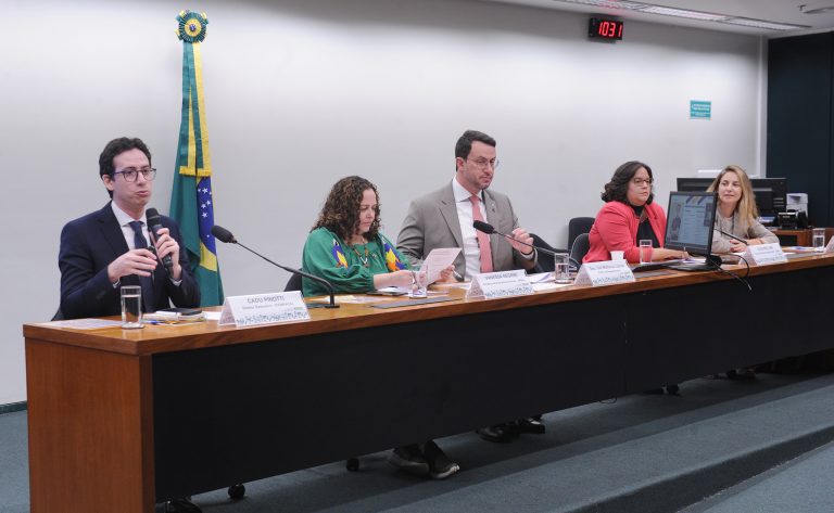 Audiência na Câmara debate situação crítica de abrigos de animais e falta de apoio a ONGs