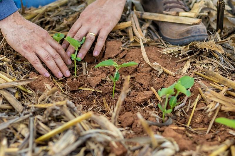 Agro mais que dobra empregos em MT e se consolida como principal motor da economia