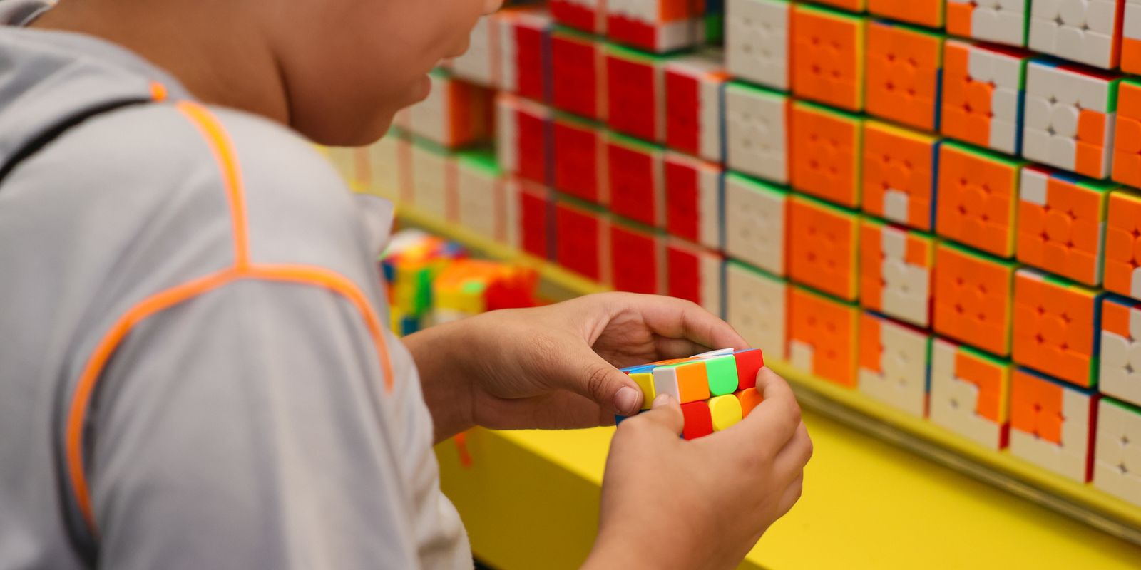 Primeira fase do Censo da Educação Básica 2026 é iniciada