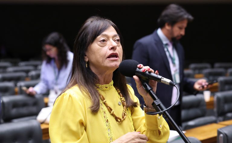 Câmara dos Deputados debate déficit de auditores-fiscais do trabalho e seus impactos