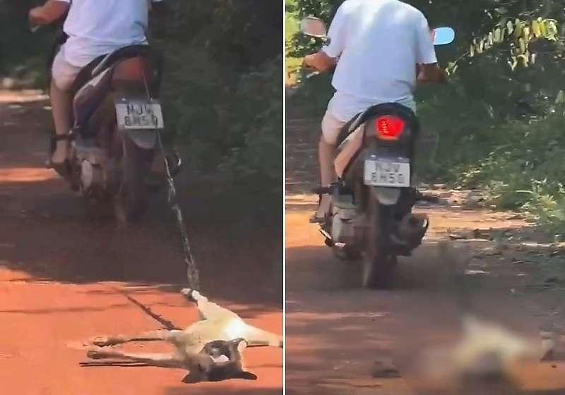 Homem é flagrado arrastando gato preso a moto e caso gera forte indignação em MT; Veja vídeo 