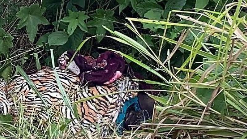 Mulher é encontrada morta enrolada em cobertor
