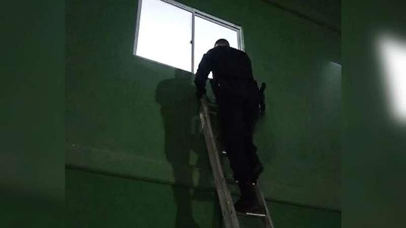 PM arromba porta de casa e resgata 3 crianças; mãe saiu para ver jogo em Lucas do Rio Verde/MT