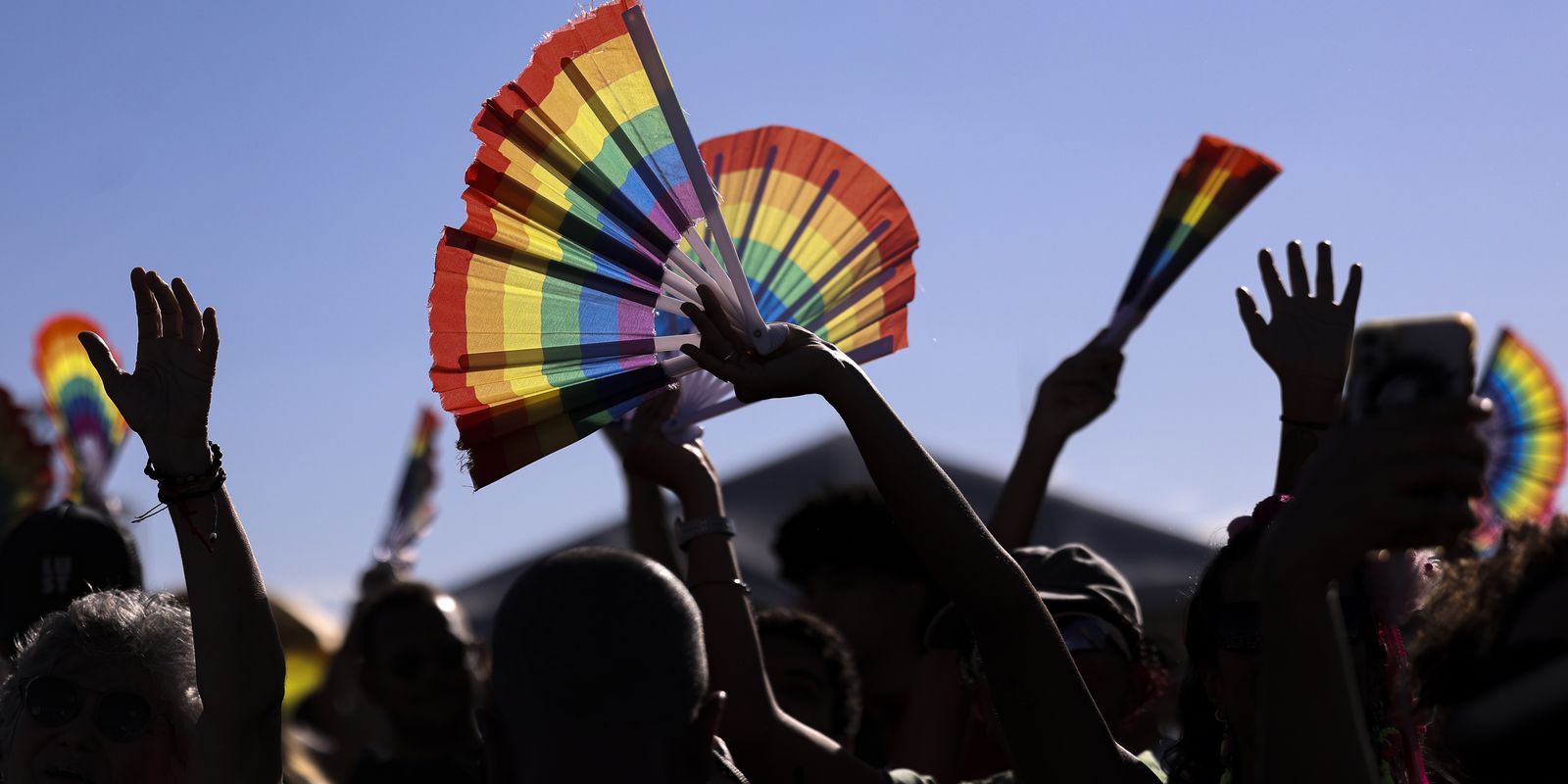 Rede Nacional de Conselhos dos Direitos das Pessoas LGBTQIA+ inicia atuação no país