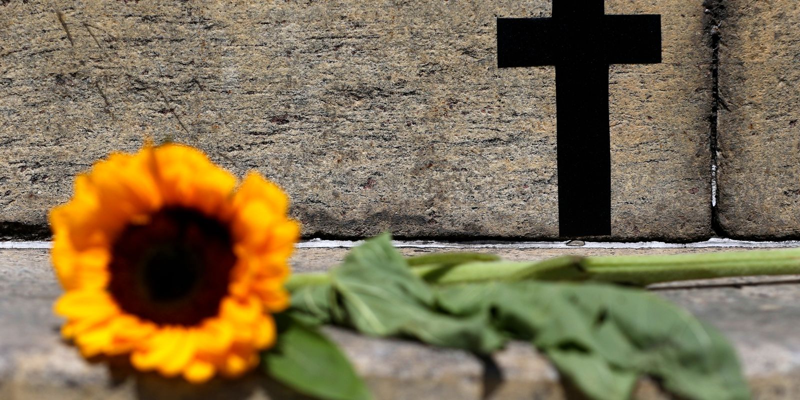 Feminicídio em São Paulo dispara 41%; violação de medida protetiva também cresce
