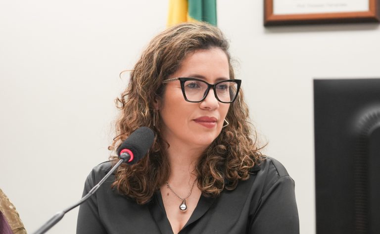 Comissão de Cultura veta incentivo público via Lei Rouanet a obras que incitem violência contra a mulher