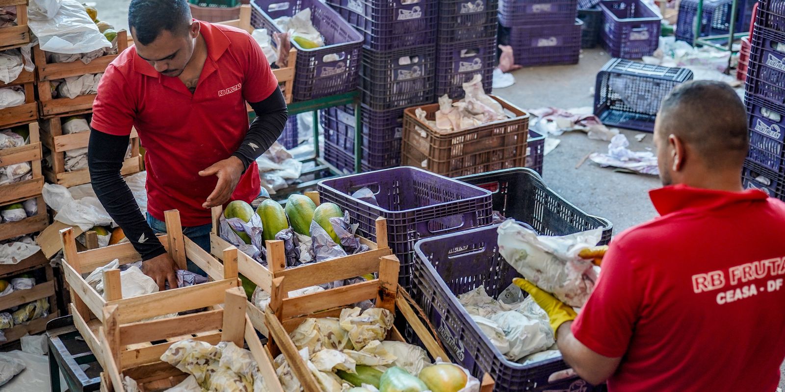 Governo destina R$ 97,3 bilhões em crédito para agricultura familiar