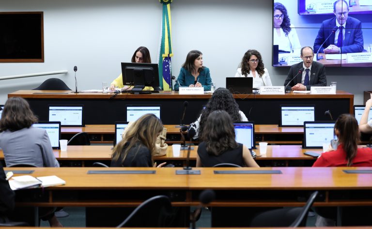 Relatório final sobre misoginia será apresentado na Câmara na próxima quarta
