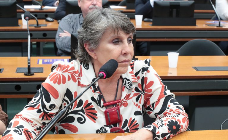 Câmara debate a importância de dados oficiais para a população LGBTQIA+