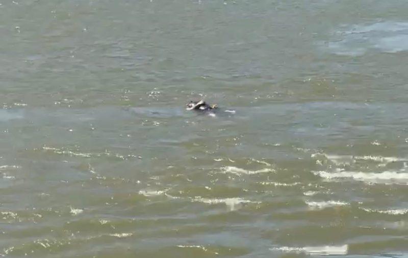 Corpo foi encontrado boiando próximo à Ponte Sérgio Motta, no Rio Cuiabá