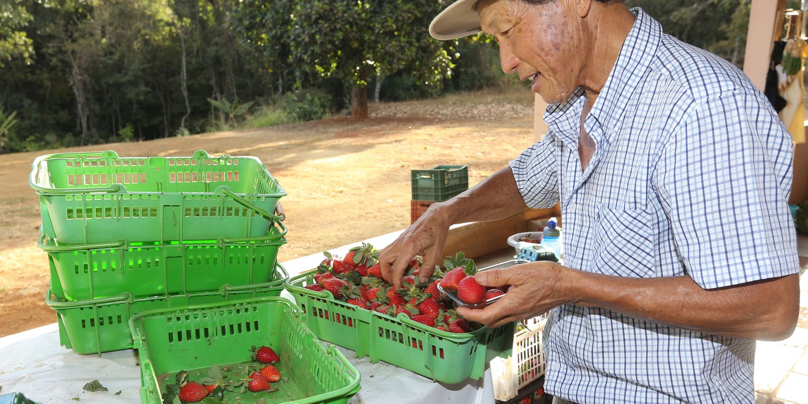 Finep destina R$ 220 milhões para impulsionar inovação na agricultura familiar