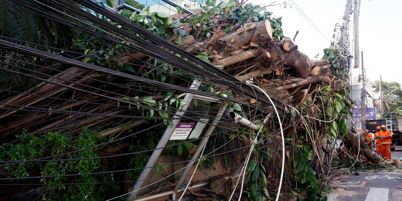 Mais de 200 mil continuam sem energia no Rio após vendaval histórico