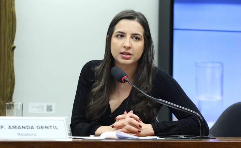 Câmara analisa projeto que cria sistema de monitoramento para medidas protetivas e suspende porte de arma de agressor