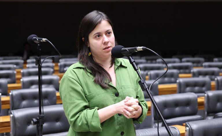 Projeto de lei proíbe acesso a armas de fogo para quem tem medidas protetivas de urgência