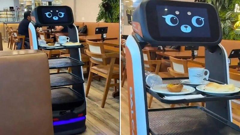 Robô garçom serve pedidos, fala com clientes e vira estrela em padaria