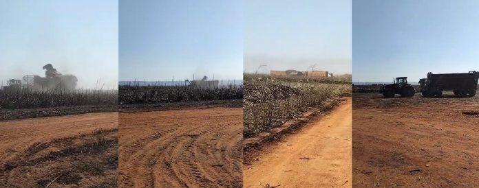 Após incêndio em Nova Olímpia, UISA mobiliza máquinas para colher cana